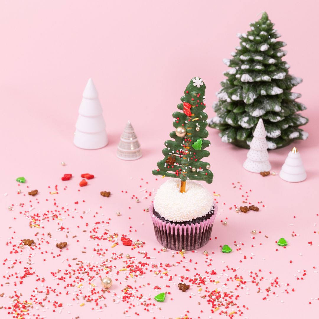 Santa's Favorite
